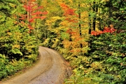 Old Cherry Mountain Road