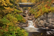 Pine Sentinel Bridge and Pool