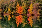 Rattlesnake Cove Reflections