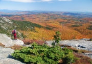 Mount Cardigan Autumn