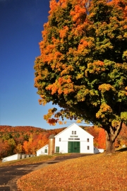 Burleigh Farm, Holderness