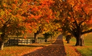 Burleigh Farm, Holderness