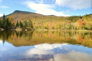 Zealand Pond