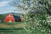 Yeaton Farm, Plymouth, NH