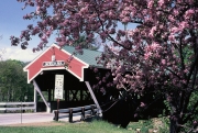 Jackson Covered Bridge