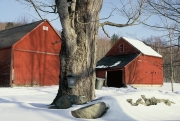 Maple sugaring, Bethlehem, NH