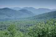 White Mountain National Forest from Bear Notch Road
