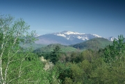 Spring view from Intervale, NH