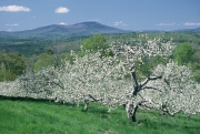 Gould Hill Orchard, Hopkinton, NH