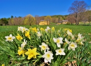 Cotton Farm, Moultonborough, NH