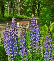 Robert Frost Homestead, Franconia, NH