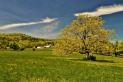 Springtime view of Burleigh Farm, Holderness, NH