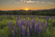 Sunrise, Sugar Hill, NH