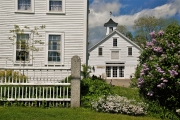 Lilacs, Center Sandwich, NH