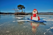 Yard Island with Bobert the snowman