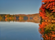 Carnes Cove foliage