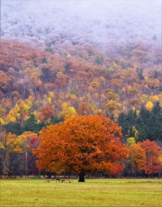 Change of seasons