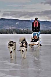 Winter excursion with sled dogs