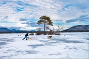 Sled dog outing on Squam