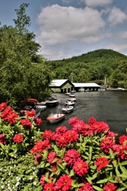 Correct Craft Boat Regatta