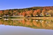 Willoughby Ridge Farm Pond