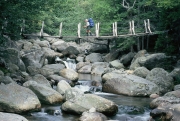 Great Gulf Wilderness suspension bridge