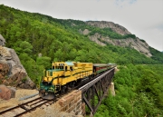 Notch Train