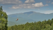 Zipline at Bretton Woods