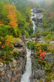 Silver Cascade Autumn