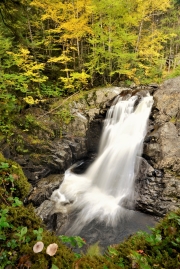 Garfield Falls Autumn