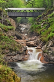 Pine Sentinel Bridge and Pool