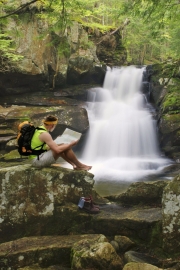 Cold Brook Falls