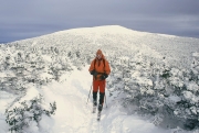 Mount Moosilauke