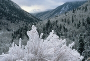 Crawford Notch