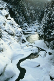 The Pool, Franconia Notch