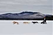 Sled Dog Races, Chocorua Lake