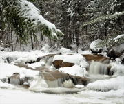 Cascades on Swift River