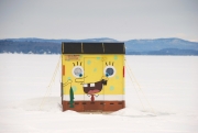 Sponge Bob bobhouse
