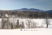 Sled Dog Racing Laconia NH