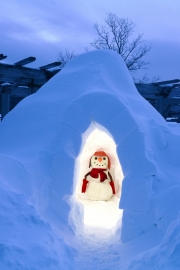 Bobert in the Igloo